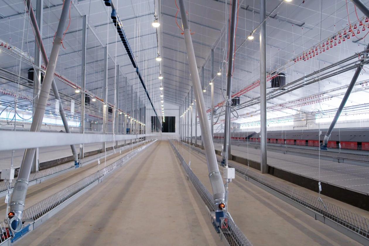 Project Video: Two Broiler Breeder Houses