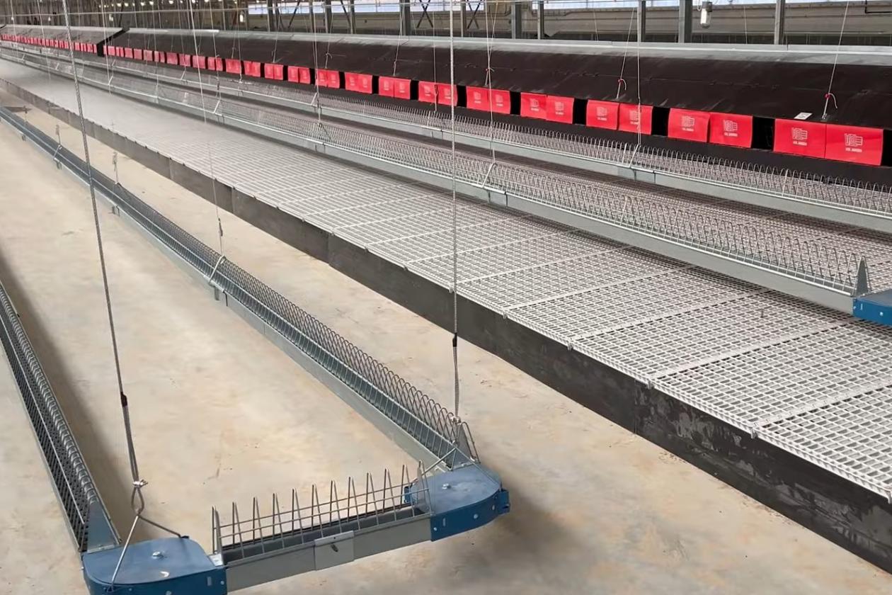  Two Broiler Breeder Houses near Completion in Germany
