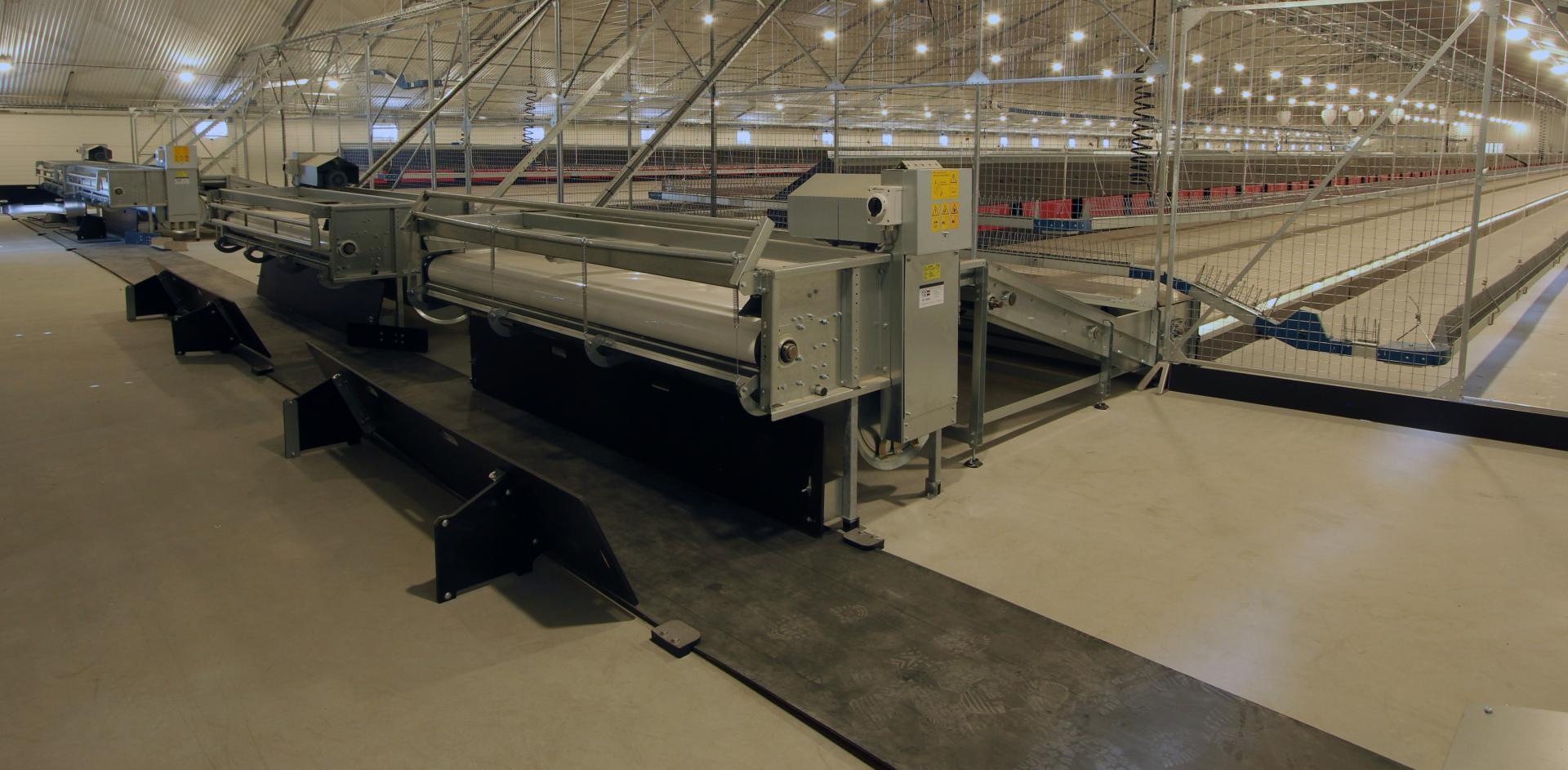 Single manure belt drive installation in a poultry breeder house