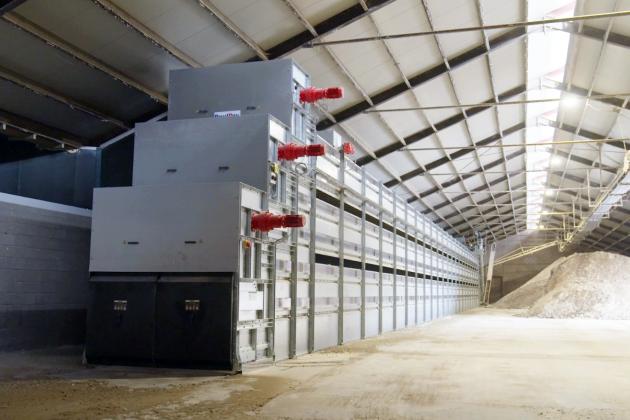 Manure Drying Project in Belgium for Layers – PoulDry