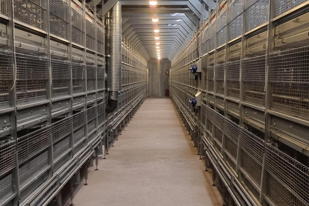 Open dag bij Opfokbedrijf De Zandhoen in Woltersum