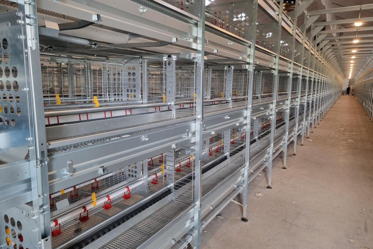 Modern rearing project in the Netherlands